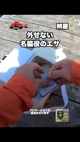 伊勢志摩つりとも研究所のTikTok投稿