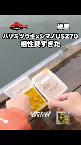 伊勢志摩つりとも研究所のTikTok投稿