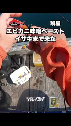 伊勢志摩つりとも研究所のTikTok投稿