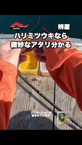 伊勢志摩つりとも研究所のTikTok投稿