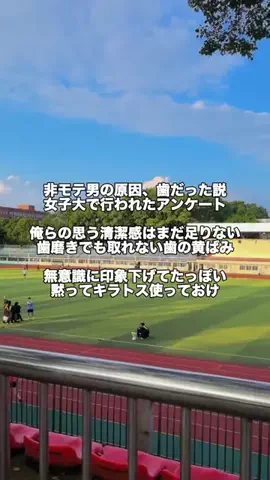 パイセンのTikTok投稿