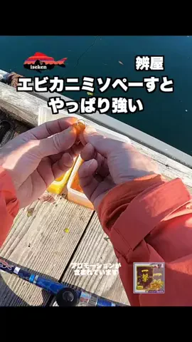 伊勢志摩つりとも研究所のTikTok投稿