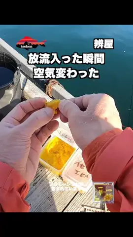 伊勢志摩つりとも研究所のTikTok投稿