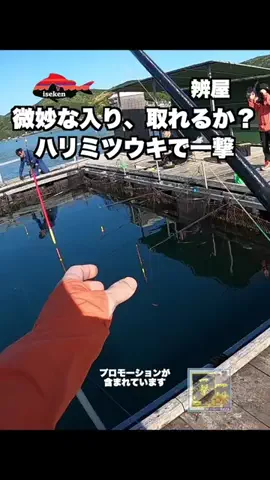 伊勢志摩つりとも研究所のTikTok投稿