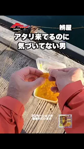 伊勢志摩つりとも研究所のTikTok投稿