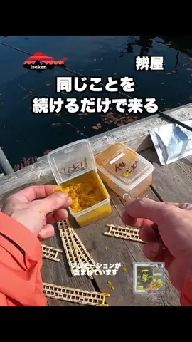 伊勢志摩つりとも研究所のTikTok投稿