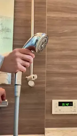 ヤギのあれこれのTikTok投稿