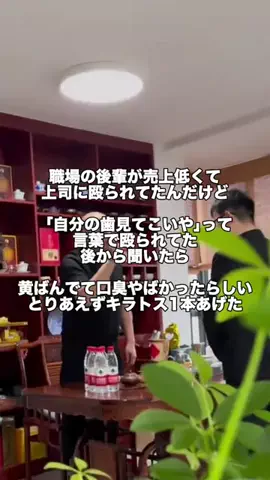 パイセンのTikTok投稿