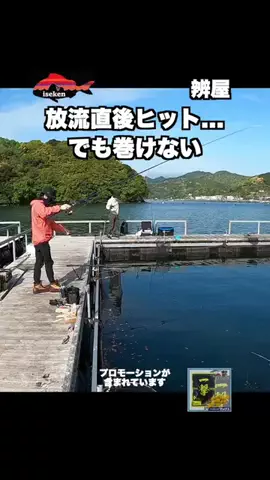 伊勢志摩つりとも研究所のTikTok投稿