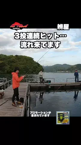 伊勢志摩つりとも研究所のTikTok投稿