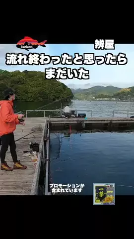 伊勢志摩つりとも研究所のTikTok投稿