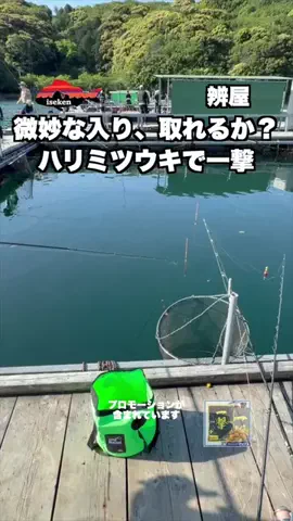 伊勢志摩つりとも研究所のTikTok投稿
