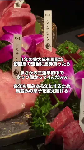 パイセンのTikTok投稿