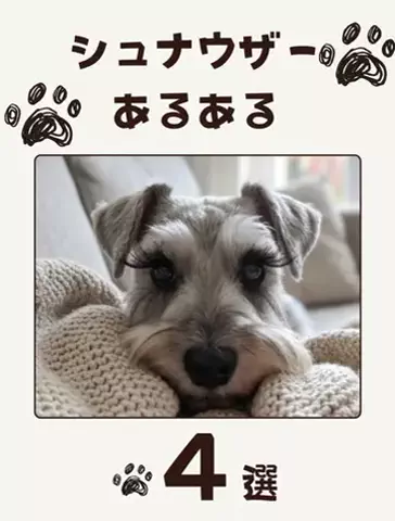 犬あるある劇場のTikTok投稿