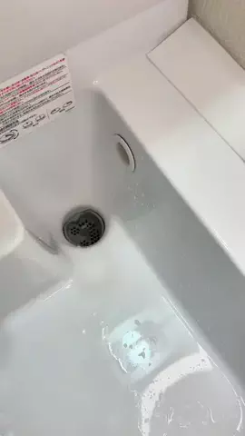ヤギのあれこれのTikTok投稿