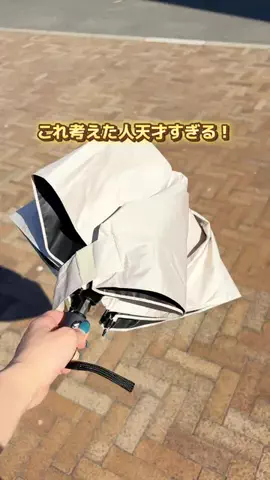 あるママのTikTok投稿
