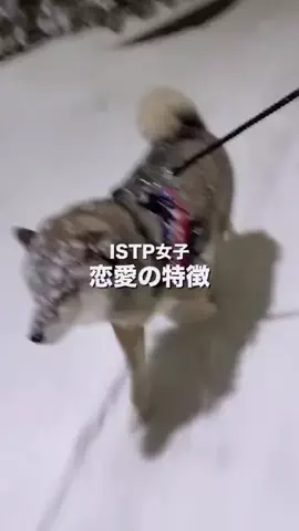 あみのTikTok投稿