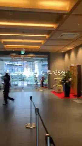 だてめがねのTikTok投稿