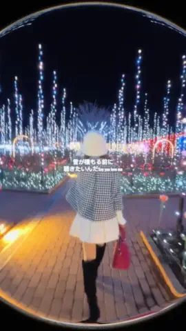 nyanちゃんのTikTok投稿