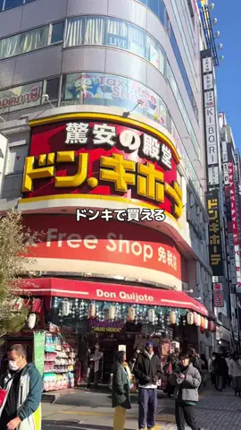 姫のTikTok投稿