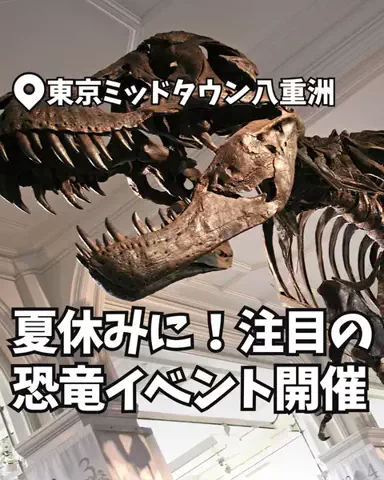いこーよ【公式】のTikTok投稿