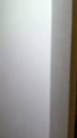 髭達磨のTikTok投稿