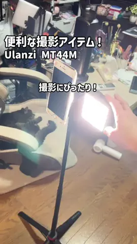 まゆち💊👽紹介マンのTikTok投稿
