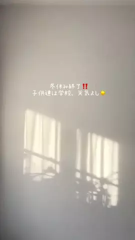 megmi_のTikTok投稿