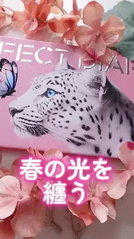 梨木のTikTok投稿
