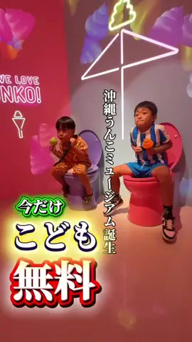 ハイケイおじさんの沖縄無料案内のTikTok投稿