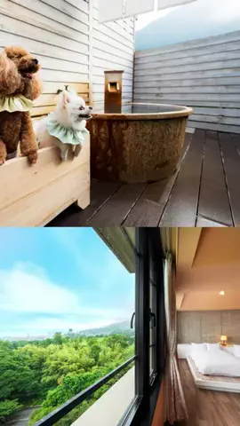 コスパ宿のTikTok投稿