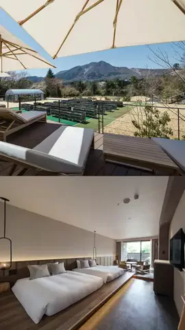 コスパ宿のTikTok投稿