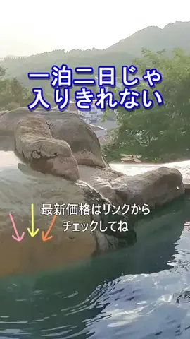 おでかけポコのTikTok投稿