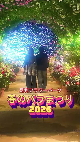 おでかけポコのTikTok投稿