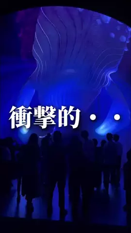 TREND GARAGE｜トレンド発信基地のTikTok投稿