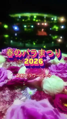 おでかけポコのTikTok PR投稿：春のバラまつり2026開催中【あしかがフラワーパーク】TikT…
