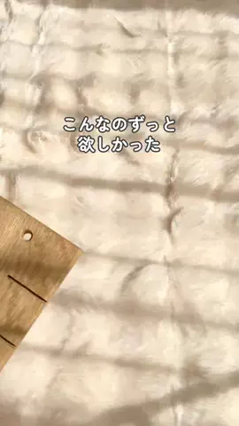 さくのTikTok投稿
