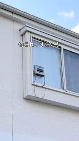 さくのTikTok投稿