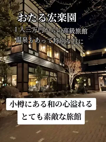 トータスのTikTok投稿