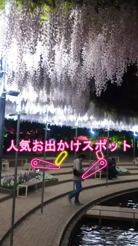 おでかけポコのTikTok投稿