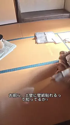 Tom⚓️明治元年の古民家DIYerのTikTok投稿