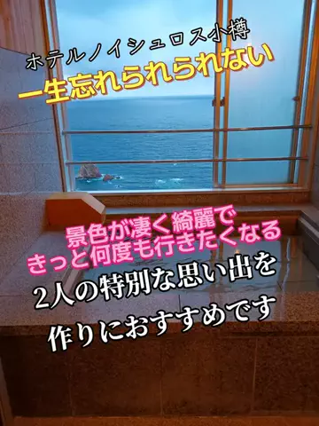 トータスのTikTok投稿