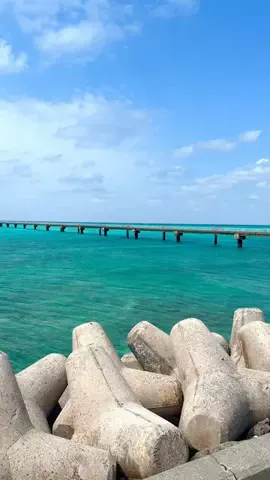 旅行大好き女子🐬🤍のTikTok投稿