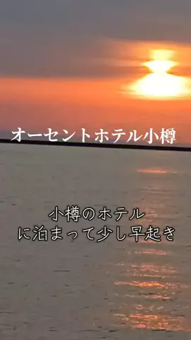トータスのTikTok投稿