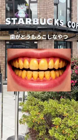 yuriのTikTok投稿