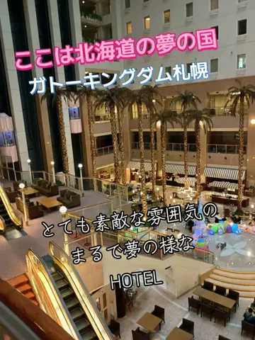 トータスのTikTok投稿