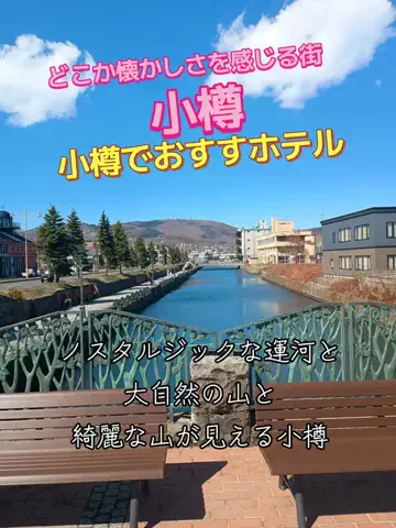 トータスのTikTok投稿
