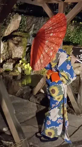 トータスのTikTok投稿