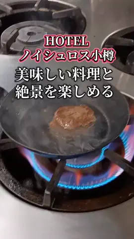 トータスのTikTok投稿