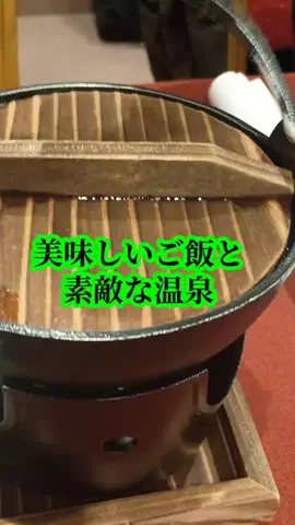 トータスのTikTok投稿